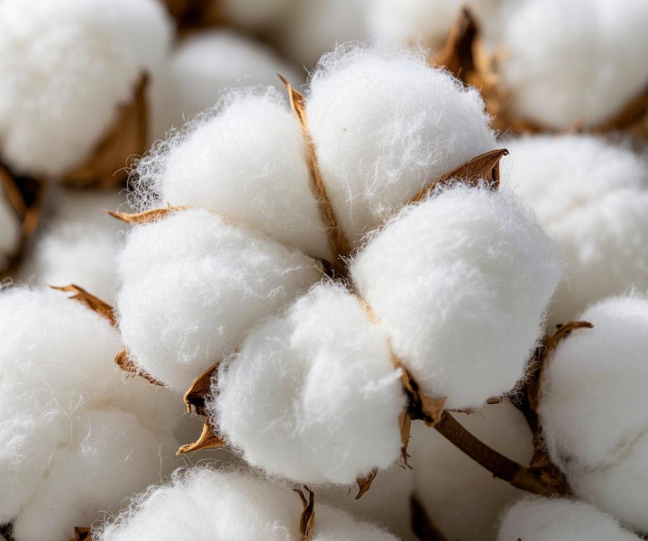 cotton